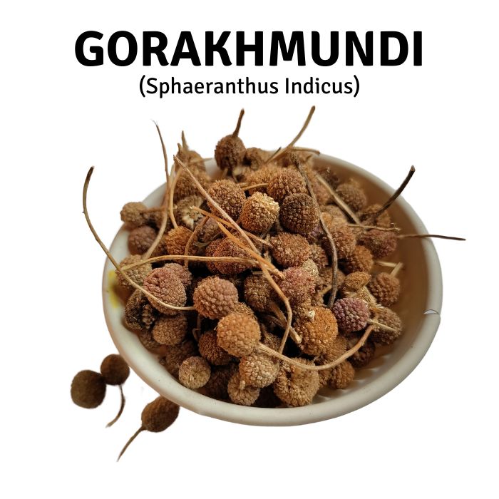 ชาโกรักขมุนดี (Gorakhmundi, Sphaeranthus indicus) 50g